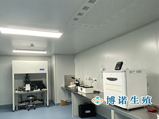 新加坡借卵试管医院 - 手术实验室