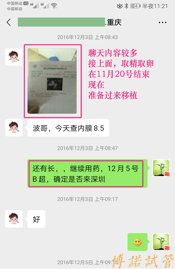 新加坡高龄借卵.jpg