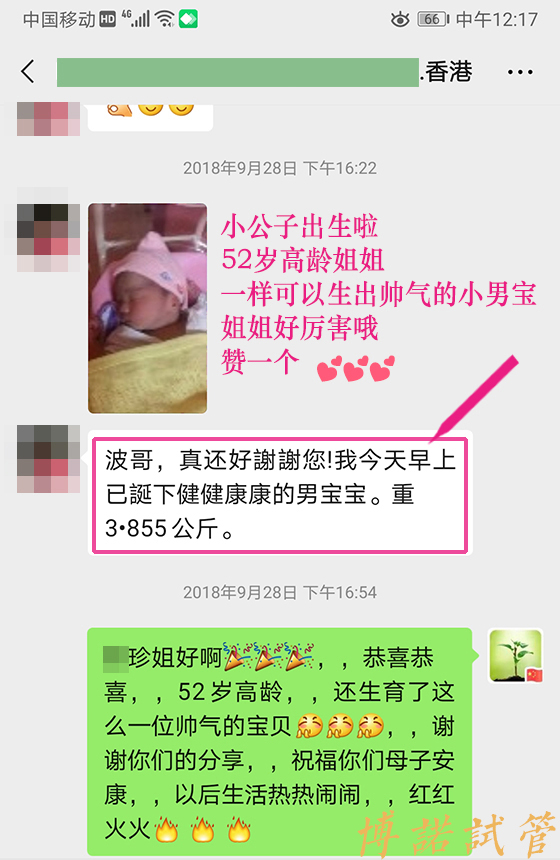 借卵试管婴儿全过程解析.jpg