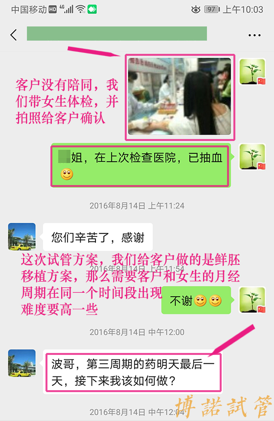 新加坡借卵公司.jpg