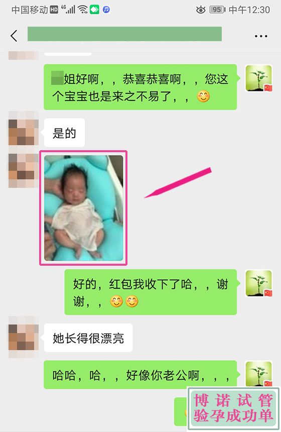新加坡借卵公司.jpg