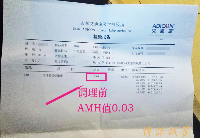 新加坡借卵公司.jpg