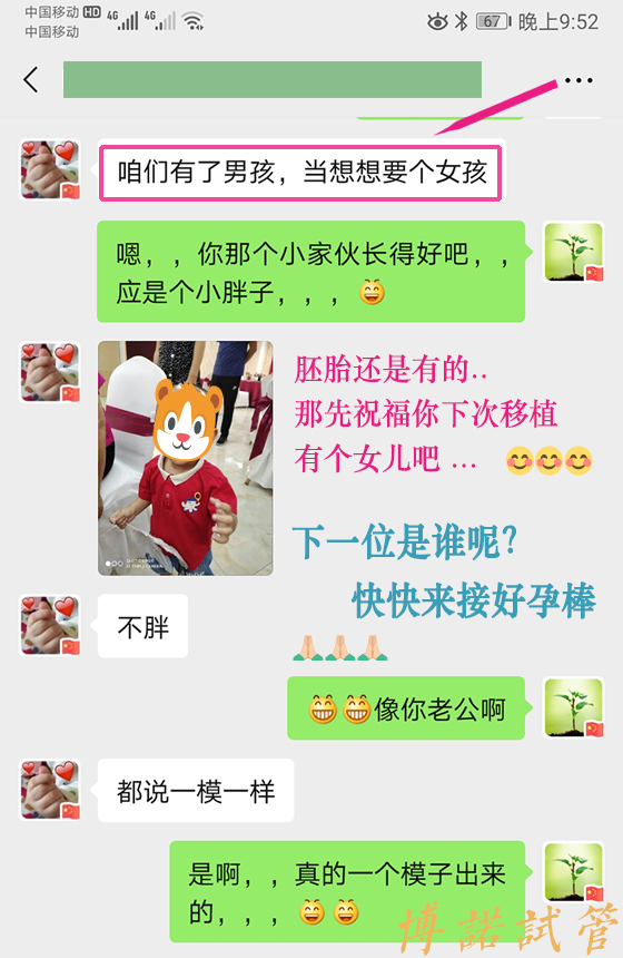 新加坡借卵生子.jpg