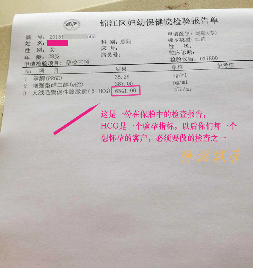 借卵试管医院推荐.jpg
