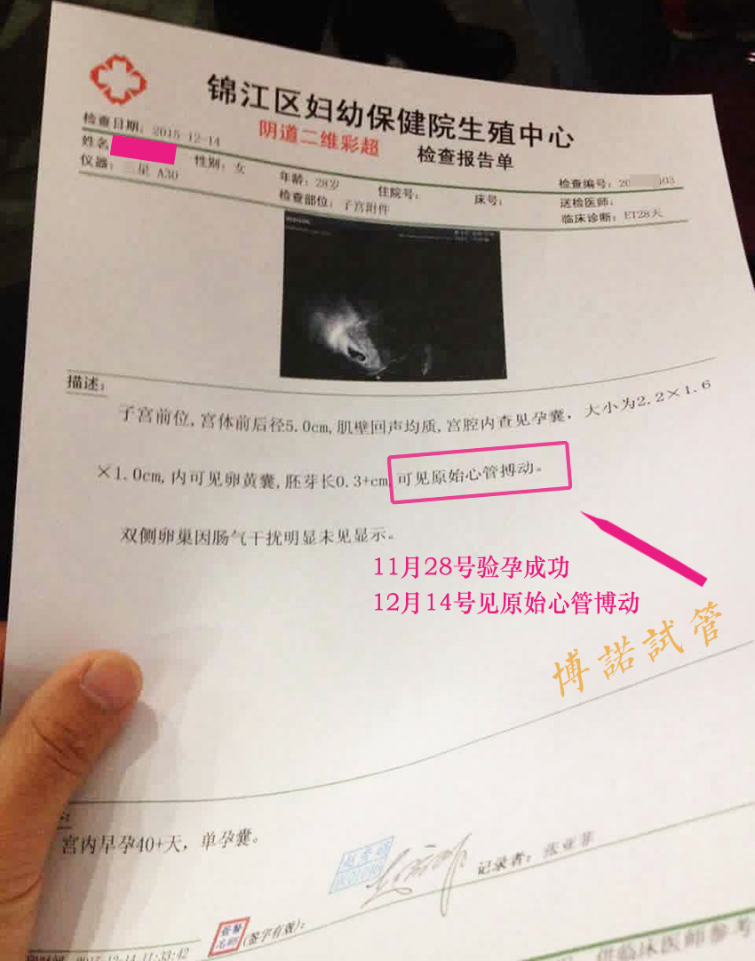 借卵试管婴儿的风险.jpg