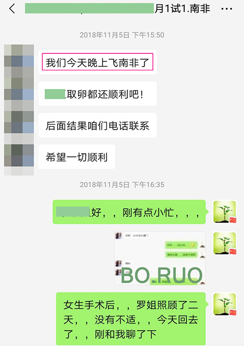 南非借卵试管 - 客户在线沟通