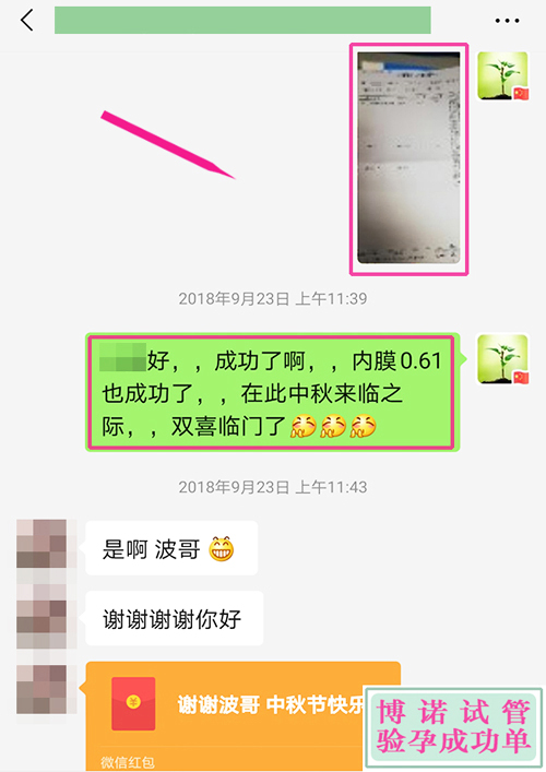 新加坡助孕机构：内膜0.61成功