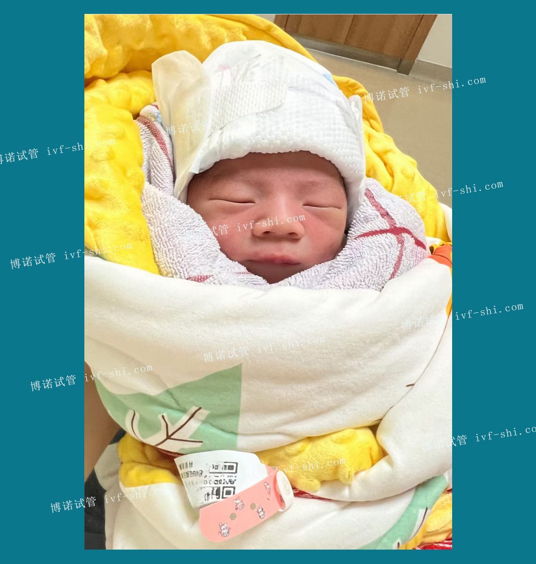 借卵试管婴儿全过程解析.jpg