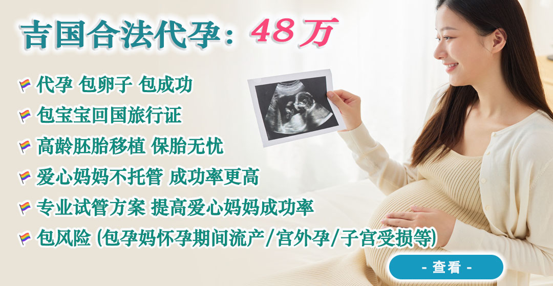新加坡代孕咨询.jpg