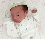 加拿大代孕多少钱